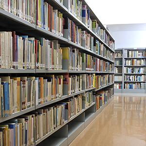 <b>Libraries</b></br>
<ul><li>Great for archiving different types of media – photographs, video, digital magazines, and more!.</li></ul>