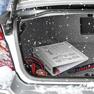 <center>Store car maintenance paperwork in a Cardinal XtraLife binder to keep track of oil changes, tire rotations and more. The covers withstand extreme cold, so you can keep it right in your trunk. </center>