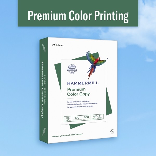 Hammermill Premium Color Copy Paper - White - 100 Brightness -  Ledger/Tabloid - 11 x 17 - 28 lb Basis Weight - 500 / Ream - Laser Paper, International Paper Company
