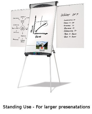 Dual-purpose presentation easel.