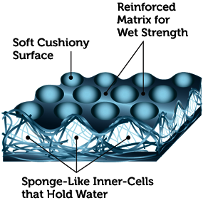 Absorbent Technology