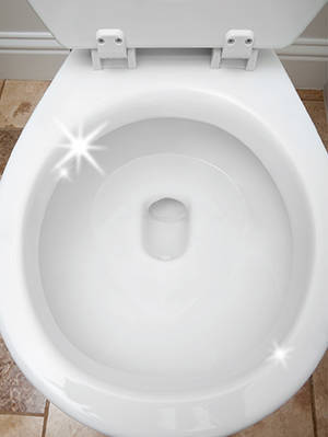 <br></br><br></br>Repels Stains with Every Flush to Keep Your Toilet Clorox Clean
