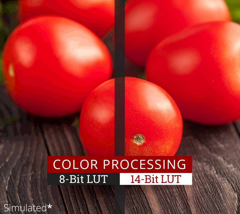 </br>Professional Color Processing Capability
