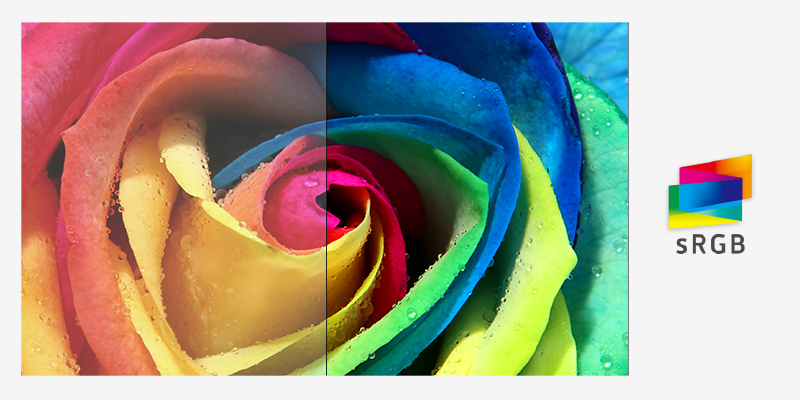 B7 Features Series CH - sRGB