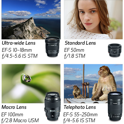 Compatible with all Canon lenses