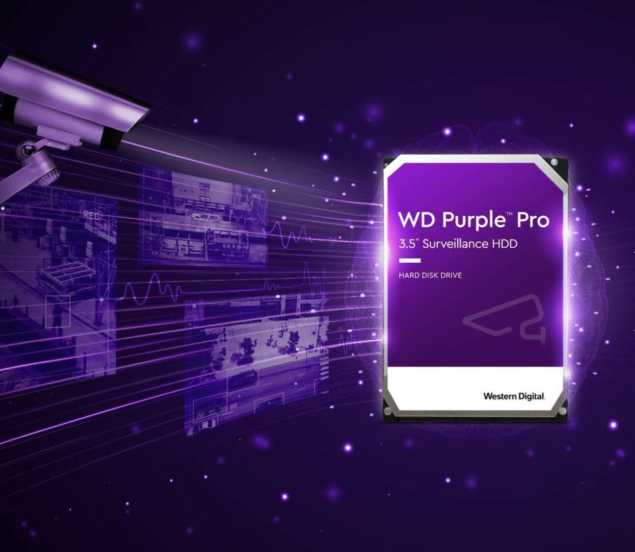 WD Purple Pro WD101PURP 10TB 7200 RPM 256MB Cache SATA 6.0Gb/s 3.5"  Internal Hard Drive Desktop Internal Hard Drives - Newegg.com