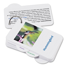 "Flashcards w/Tab Rings, 3""x5"", 25Sht, 100/PK, White"