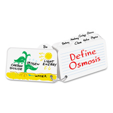 "Write-On Flashcards, w/Div,3""x5"",Tabs/Ring,100 Cards/PK,WE"