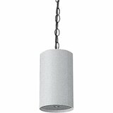 Pendant Speaker 25 70 100 V 25Watt White