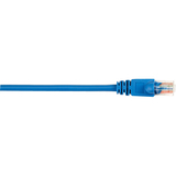 CAT5e 100-MHz Molded Snagless 10FT