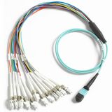 (4157656) 1m Breakout Cord for MM MPO