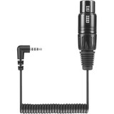 KA 600i XLR-3 to a 3.5 mm smartphone connector cable for shotgun microphones