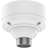 AXIS T91B51 CEILING MOUNT
