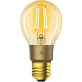 Kasa Filament Smart Bulb, Warm Amber