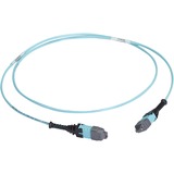 30m MTP OM3 Fiber Optic Trunk Cable Plen